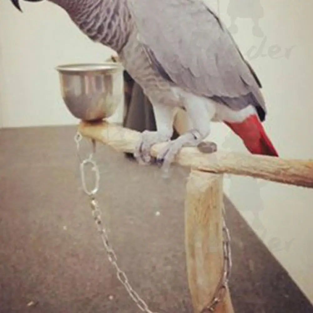 Foot Ring for Pet Parrot, Foot Chain, Foot Ring, Flying Training, Activity Opening, Stand Accessories, Bird Supplies