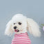 2023 Princess Dog Colorful Stripe Soft Suit Puppy Jumpsuit Spring Doggie Casual Pants Small Medium Pet Couple Four-Legged Coat
