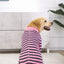Full Cover Dog Jumpsuit Dog Recovery Suit After Surgery Anti Shedding Bodysuit Pet Claming Pajamas for Small Medium Large Dogs