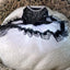 Pet Dog Cat Dress Summer Clothes Dot Dog Dress For Dogs Skirt Summer Princess Dog Wedding Dresses dog dresses for small dogs
