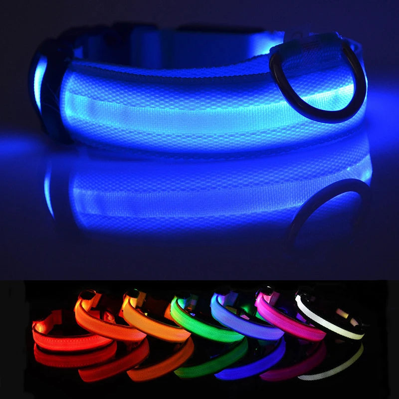 LED Dog Collar USB Rechargeable - Bright & High Visibility Lighted Glow Collar for Small Medium Large Breeds Pet Night Walking