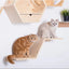 Cat Tree Tower Cat Hammock Cats House Scraper For Cat Stairway Corner Platform & Z-Shaped Channel For Cat Climbing & Training