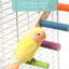 Escalera interactiva para escalada de aves, juguete para mascotas, garras y dientes, accesorios para pájaros, 4/6/8 escalones