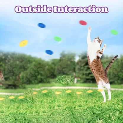 Funny Cat Toys Turnip Gun with 15pcs Reusable Foam Pet Hunting Interactive Toy Dog Cat Pet Supplies