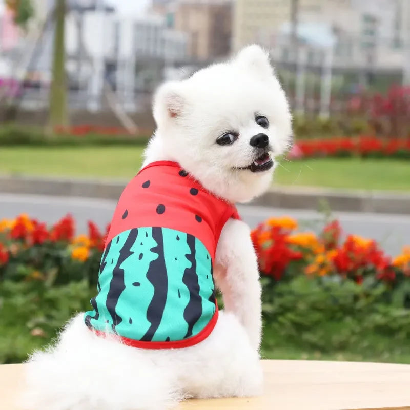 Breathable Pet Dog Clothes Summer Dog Vest For Small Dog Cute Camouflage Vest Spring and Summer Tshirt Bulldog Apparel Chihuahua