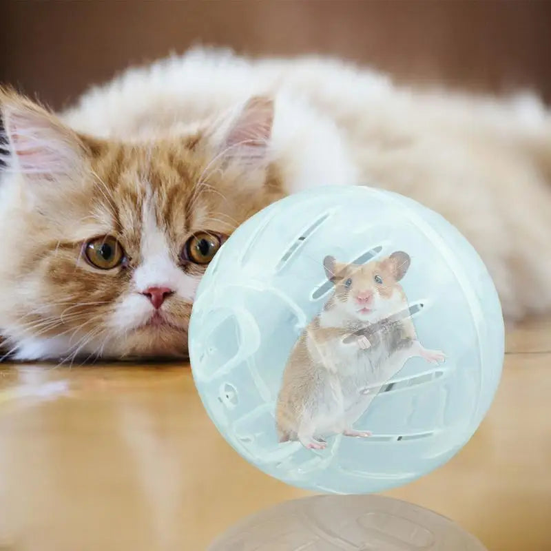 Hamster Exercise Balls With Traction Rope Transparent Hamster Running Ball Wheel Safe Hamster Exercise Balls Pet Supplies