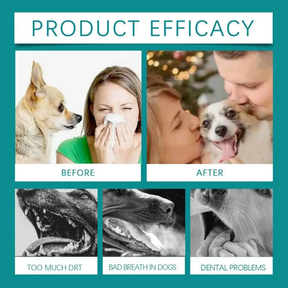 Dog Breath Water Additive 100ml Dog Teeth Cleaner Wash Effective Dog Teeth Cleaner Wash Natural Teeth Cleaning Freshener For