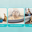 DownyPaws 4000mAh Smart Cat Odor Purifier For Cat Litter Box Deodorizer Pet Toilet Air Purifier Dog Cat Litter Deodorant