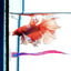Fake Silicone Betta Fish Leaf Hammock, Pad with Suction Cup, Fish Resting Spot, Bed for Tank