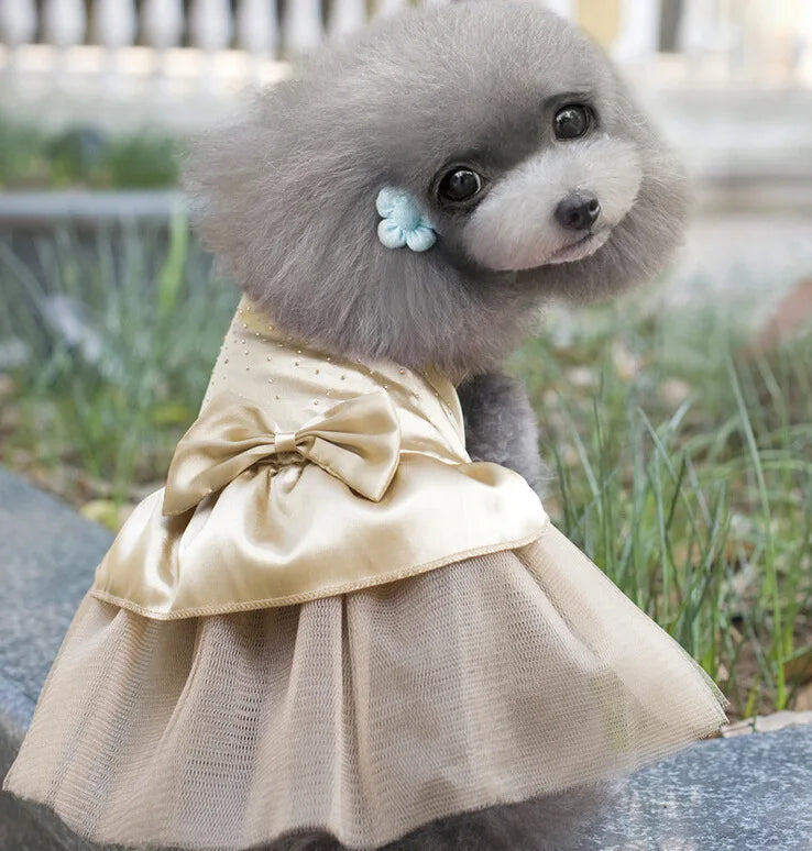 Dog Wedding Dress Cotton Lace Floral Dress For Small Dogs Chihuahua Summer Puppy Dress Pomeranian Princess Tutu Yorkshire Clothe
