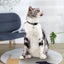 Cartoon Pet Cat Neck Collar for Small Dogs 19-28cm Ring Bell Anti Lost Adjustable Chihuahua Neck Wear Polyester Pet Accessories