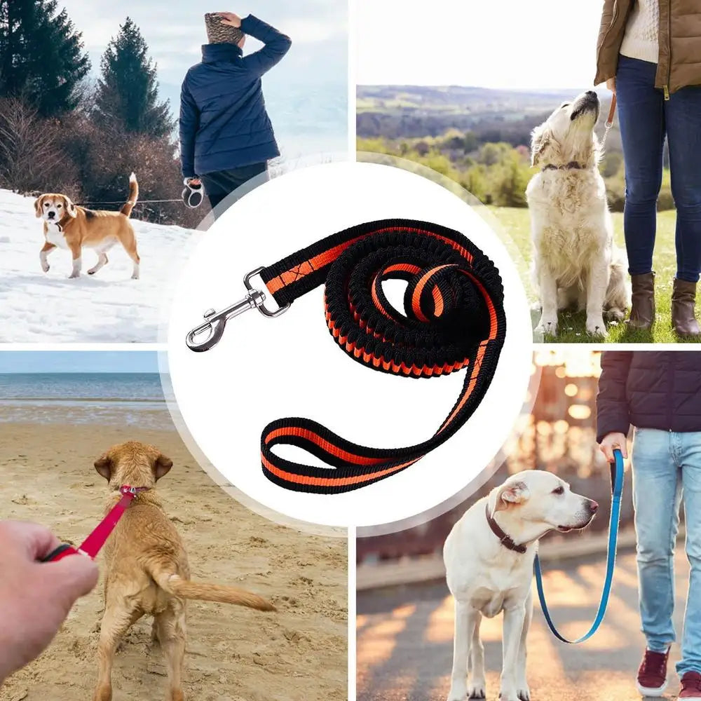 Dog Heavy Duty Durable Telescopic Nylon Dog Rope Comfortable Padded Handle Rope High-elastic Dog Safety Belt For Car