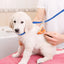 Pet Cat Dog Grooming Loop Adjustable Noose Loop for Cat Puppy Small Dog Bathing Tether Strap Heavy Duty Nylon Restraint Noose
