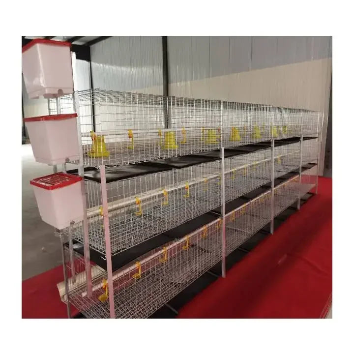 H Type Broiler Cage 4 Tiers Large Capacity 80 Pieces Length 1.4 Metres Width 70 Cm Strong and Durable for Sadio