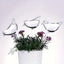 5 Packs Bird-Shaped Self-Watering Globes Perfect For Automatic Flower Watering And Home Garden Tools Drip Water Seepage Device