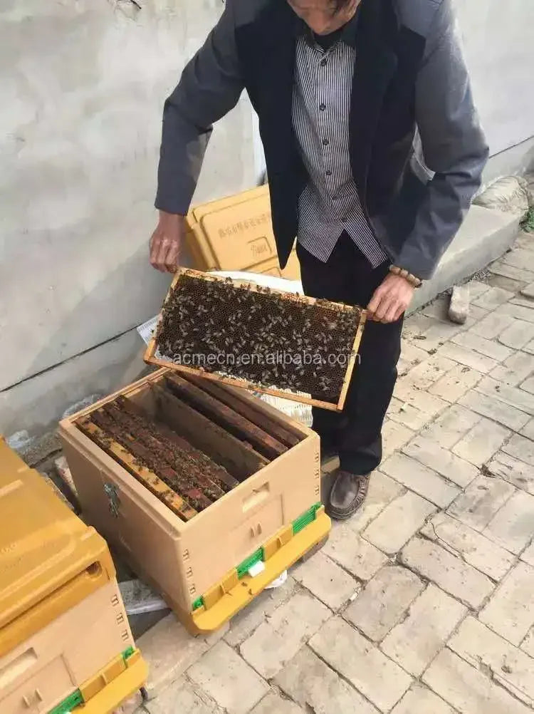 ACME-20P Low price plastic 20 frame beehive plastic bee hive for sale