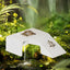 Large Transparent Turtle Tank with Basking Platform High Definition PET+ABS Plastic Anti Drop Aquarium Fish Tank Reptiles Box