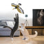 Pet Toy Electric Simulation Fake Eagle Electronic Rotation Simulation Bird Hanging Interactive Teasing Cat Dog Toy Silent Model