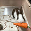 Natural Paper Rope Rabbit Puzzle Toy Grass Weaving Radish Carrot Shape Pet Accessories Guinea Pig Chinchillas Small Animals Toys