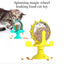 Dog Cat Feeding Interactive Wheel Toys Pet Leaking Food Training Ball Slow Dog Feeder Funny Dog Wheel Pet Products