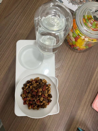 Non-Slip Double Cat Bowl Dog Bowl With Stand Pet Feeding Cat Water Bowl For Cats Food Pet Bowls For Dogs Feeder Product Supplies