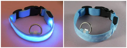 LED Dog Collar USB Rechargeable - Bright & High Visibility Lighted Glow Collar for Small Medium Large Breeds Pet Night Walking