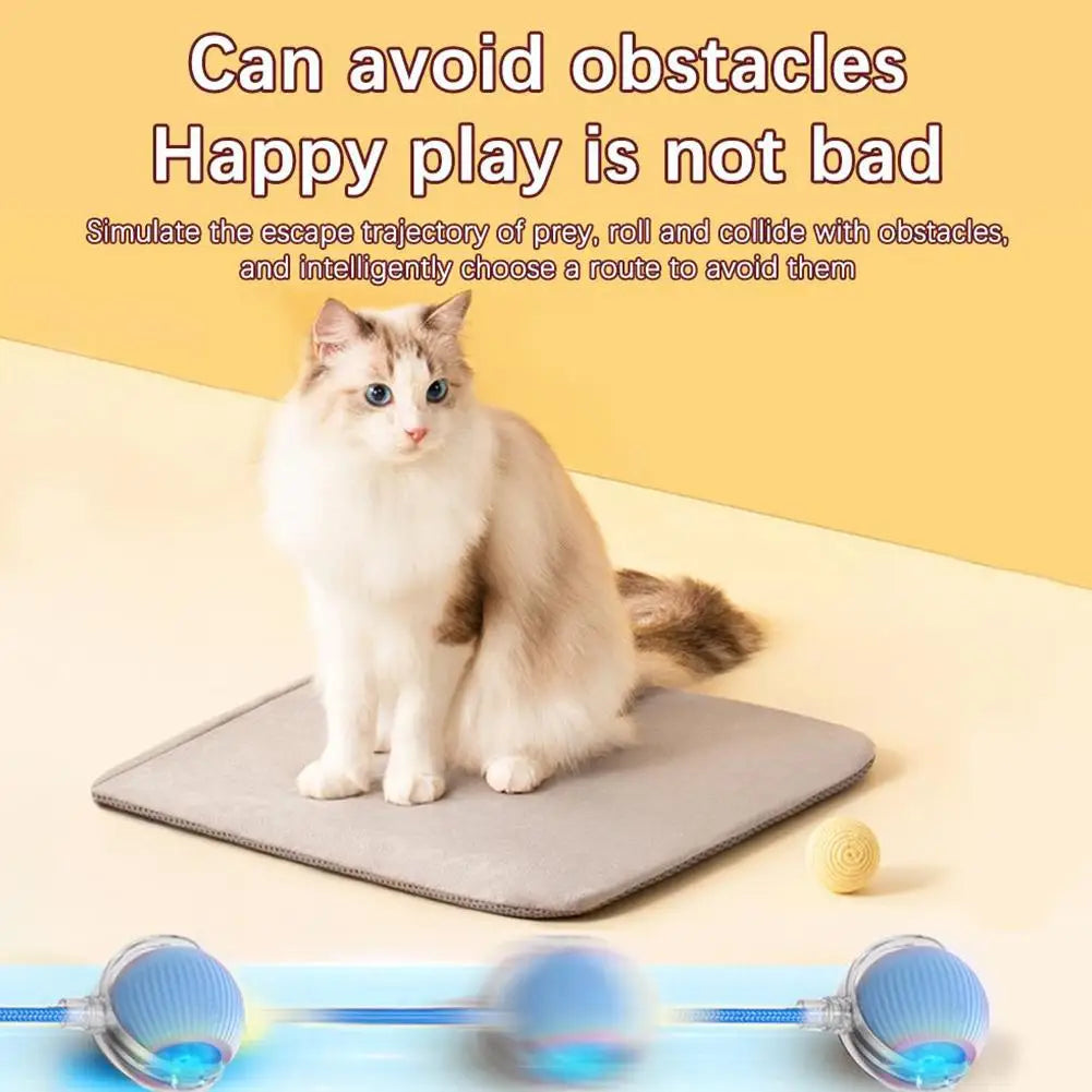 Smart Rolling Cat Toy Ball Relieve Kitten Boredom Automatic Shutoff Rechargeable Creative New Kitten Chasing Toy Electric Ball