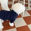 Autumn Winter Dog Clothes Thin Plush Hoodie Teddy Bear Schnauzer Coat Pet Cat Small Dog Clothes for Small Dogs Puppy Sweatshir