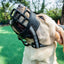 Adjustable Dog Muzzle Anti-Biting Dog Mouth Cover With Reflective Strip Can Drink Water Breathable Plastic