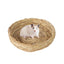 Breeding Nest For Birds Hand Woven Flat Base Straw Bird Nest Hatch House Bird Shelter Bird Cage Accessories Bird Hut