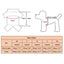 Lace Chiffon Dress for Small Dog Cat Lovely Floral Dress Pet Party Birthday Costume Dog Wedding Dress Cute Dog Clothes in Summer
