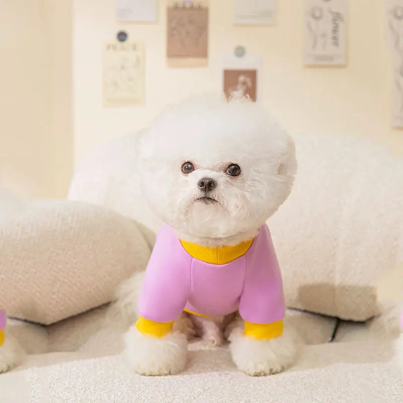 Dog Hoodies for Small Dogs Cute Cotton Fleece Dog Coat Winter Dog Clothes Chihuahua Yorkie French Bulldog Pet Jacket Cat Costume
