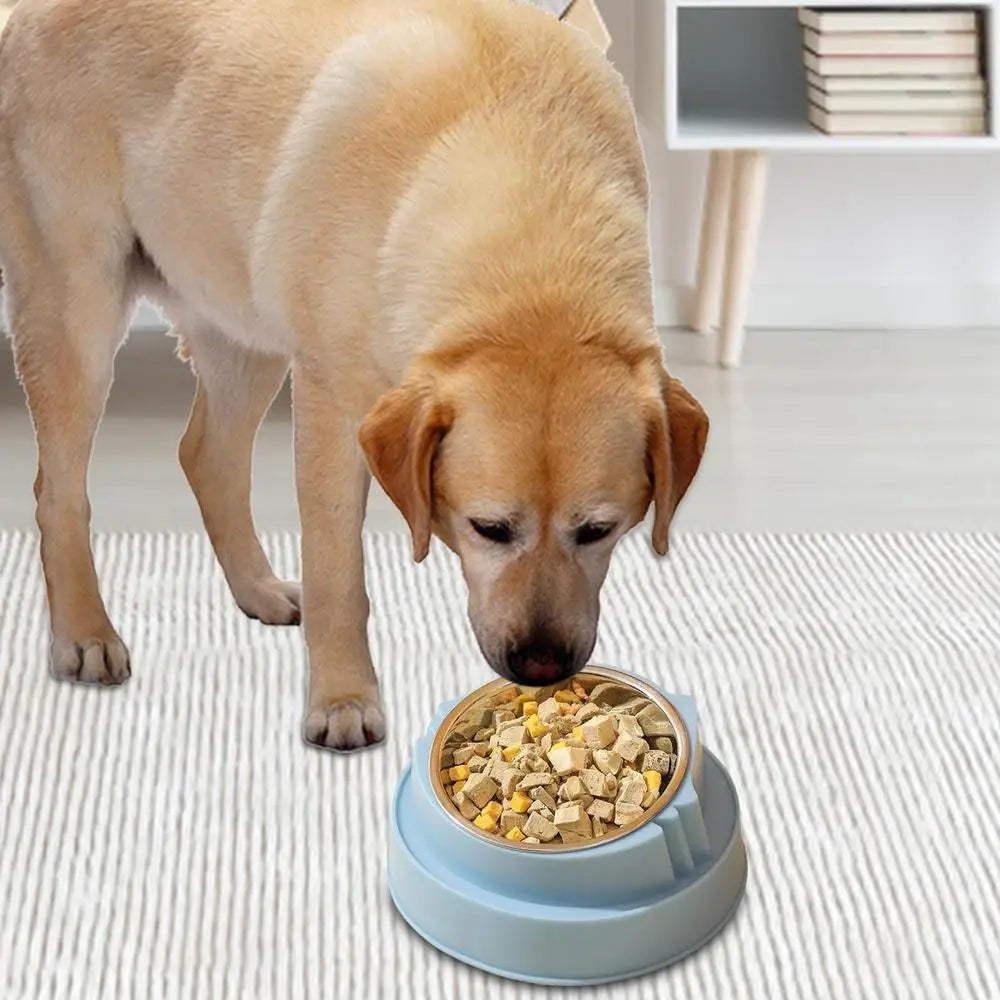 Cat Bowl Non-Slip Pet Stainless Steel Food Bowls Ergonomic Design Cat Dog Food Bowl with 15 Degree Oblique Mouth Puppy Feeding