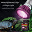 Reptile 110/220V Night Lamp Imitation Moonlight Light Night Sleep Lighting Lamp for Turtle Lizard Snake Reptile Amphibian