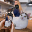 Pet Selfie Stick Flexible Dog Selfie Stick Pet Selfie Rod Dog Cat Toys Cat Photo Interactive Toy Accessories Holder Pet Supplies