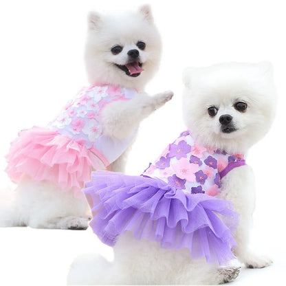 Lace Chiffon Dress for Small Dog Cat Lovely Floral Dress Pet Party Birthday Costume Dog Wedding Dress Cute Dog Clothes in Summer