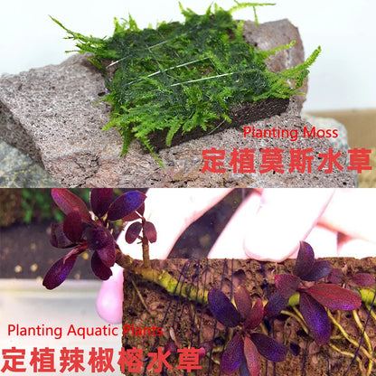 Volcanic Aquarium Decoration Fish Tank Plant Fixed Moss Water Grass Stone Slices Natural Volcanic Planting Slices Aquarium Decor