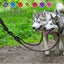 Dog Collars Reflective Dual Leash for 2 Dogs - No Tangle Walking Collar Supplies Nylon Pet Accessories
