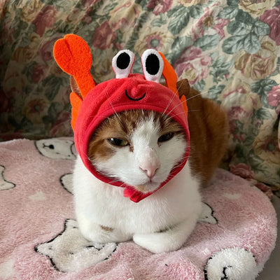 Cute Pet Hat Small Dog Cat Hat Easter Bunny Hat Crab Lobster Frog Cap Pet Party Costume Accessories Headwear for Cat Kitten Pug