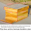10 Frame Bee Hive, Complete Beehive Kit Beeswax Coated Beehive Include Frames, Bee Hive Boxes Starter Kit for Bee Keekeepers