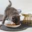 Pet Ceramic Bowl Cat Metal Bowl Rack Ceramic Drinking Feeding Bowl Snack Canned Food Plate Anti-Cervical Spondylosis Food Basin