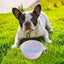 Dog Travel Folding Bowl Foldable Bowls for Cats Dogs Feeding Watering Feeding Dish Pets Drinking Cup Outdoor Puppy Water Bag