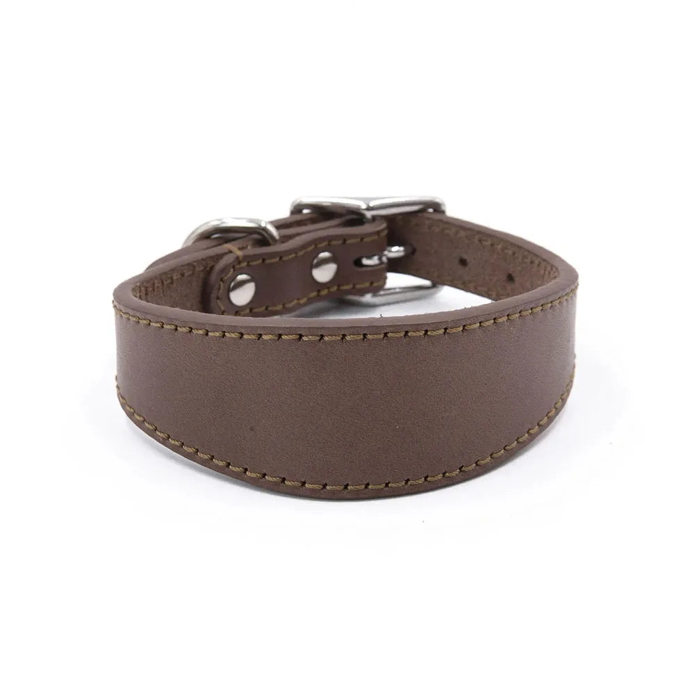 Soft Real Leather Extra Wide Padded Tapered Dog Collar Glossy Brown Black Greyhound Saluki Deerhound Lurcher Whippet Dachshund