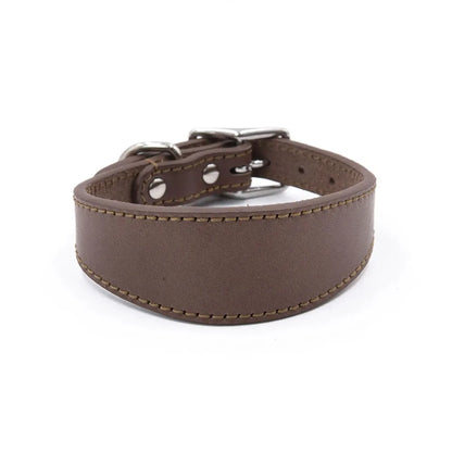 Soft Real Leather Extra Wide Padded Tapered Dog Collar Glossy Brown Black Greyhound Saluki Deerhound Lurcher Whippet Dachshund