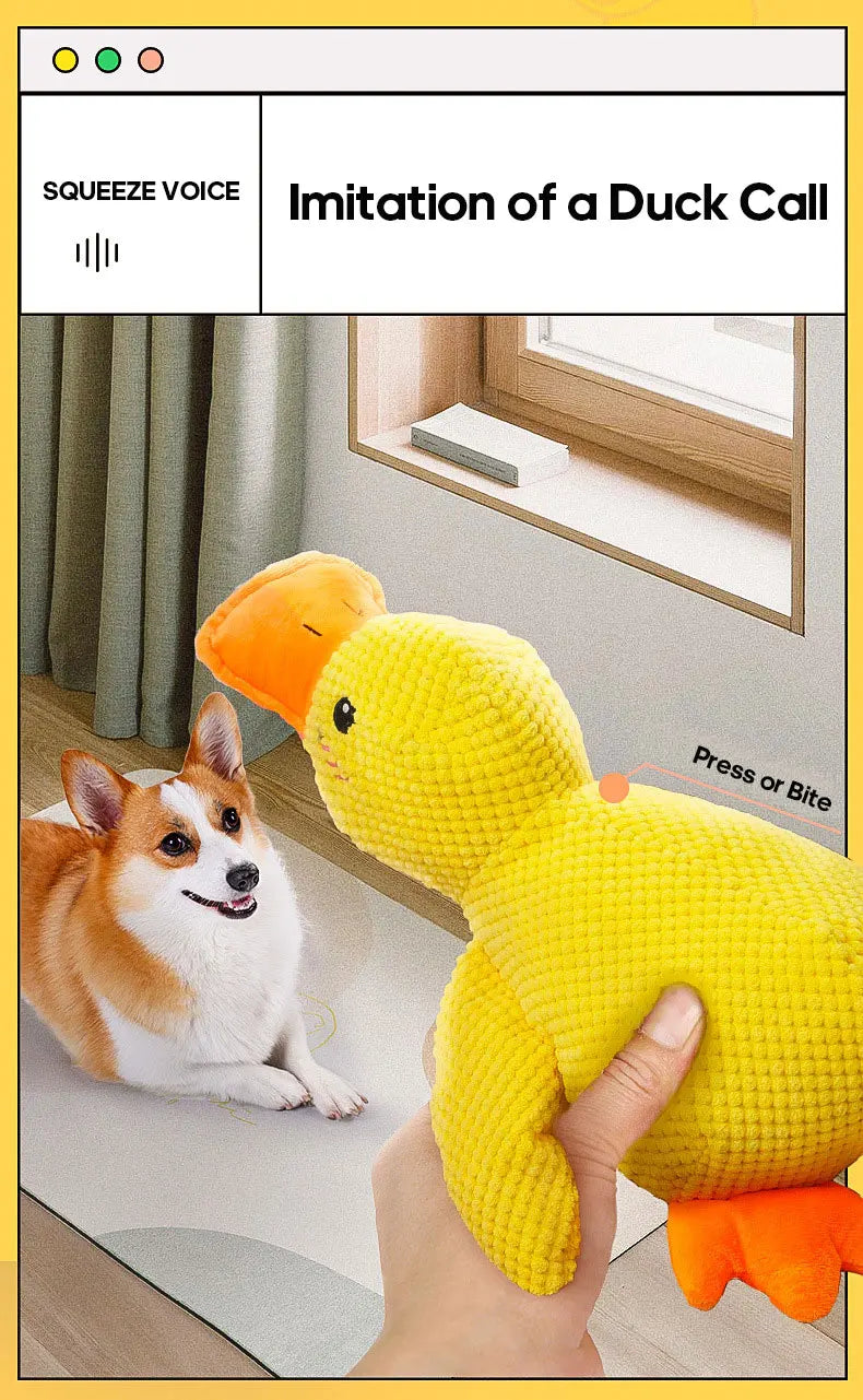 Cat and dog toys Plush molars sound puppy alone heart extractor artifacts Golden retriever Corgi dog pet supplies