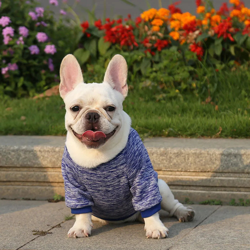 Pet Dog Clothes Knitwear Dog Sweater Soft Thickening Warm Pup Dogs Shirt Winter Puppy Sweater for Dogs Casual Pet Cat Clothing