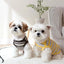 Dog Shirts Cotton Striped Puppy T-Shirts Spring Autumn Clothes for Small Dogs, Soft Breathable Stretchable Doggy Tee Pet Apparel