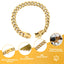 Chew Proof Stainless Steel 19MM Gold Dog Chain Collar with Solid Buckle Pet Chains Collars for Large Dog