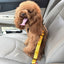 Adjustable Seatbelt Leash