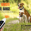 800m Digital Dog Training Collar Waterproof Rechargeable Remote Control Pet with LCD Display for All Size Shock Vibration Sound